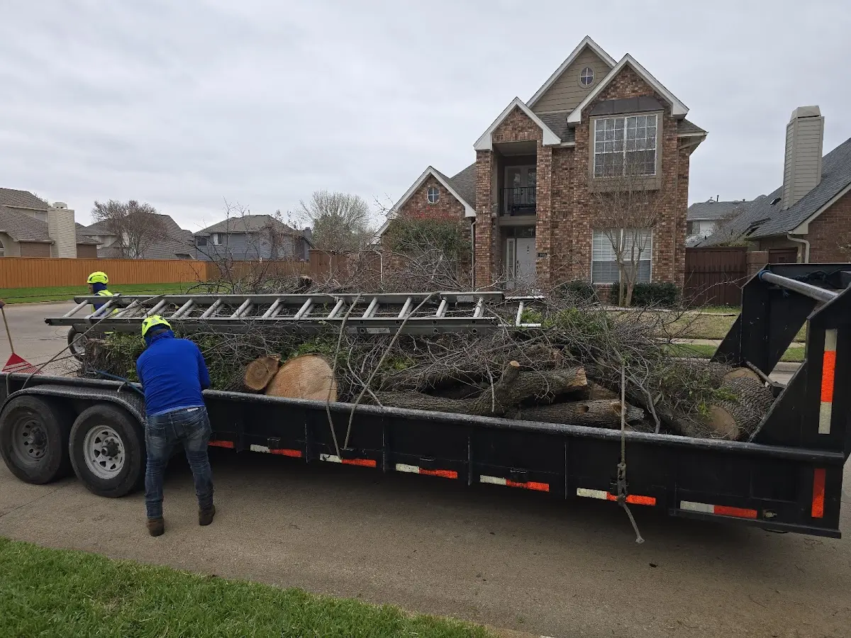 Expert Tree Pest Control with proper safety equipment in Tidewater